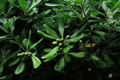 华纳官方：《霍格沃茨之遗》是2023年全球最畅销游戏