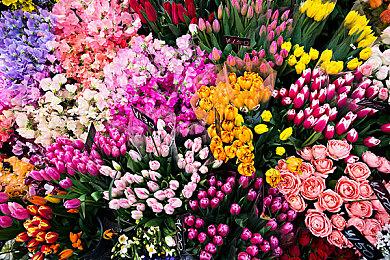 利维坦回归！《命运2：邪姬魅影》“宿怨赛季”预告 