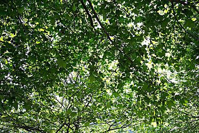 《末日地带：与世隔绝》5月19日登陆PS5＆XS